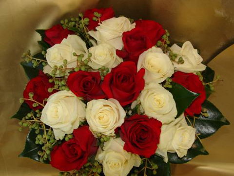 Ocean Petals Florist & Bizzy Balloons - Bridge Guide 1