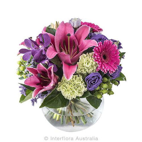 Boydita Flowers Delivered - Local Finder 0