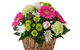 Boydita Flowers Delivered - thumb 1