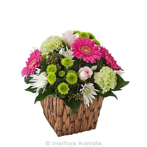 Boydita Flowers Delivered - Local Finder 1