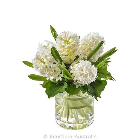 Boydita Flowers Delivered - Local Finder 5