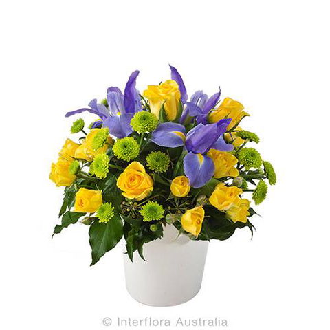 Boydita Flowers Delivered - Local Finder 8