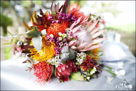 Bloomz On Central - Click Find 0