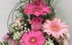 Townsville Hospital Florist - thumb 1