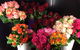 Townsville Hospital Florist - thumb 4