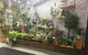 Castletown Flower Hut - thumb 1