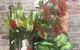 Castletown Flower Hut - thumb 2