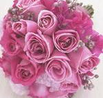 Daisy Maisy Flowers - Click Find