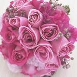 Daisy Maisy Flowers - Click Find 0