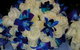 Buttercups Florist - thumb 2