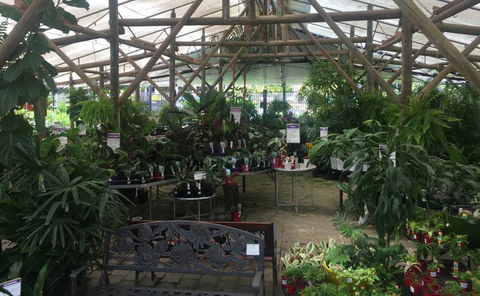 Limberlost Nursery & Garden Centre - Bridge Guide 1