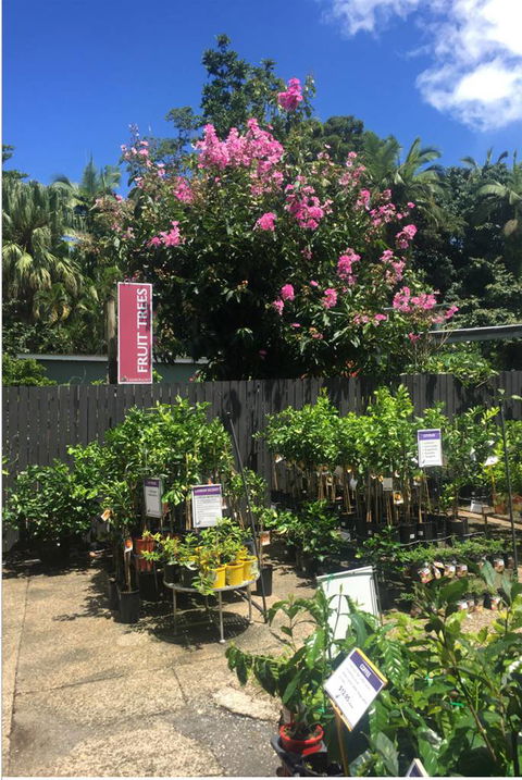 Limberlost Nursery & Garden Centre - Bridge Guide 3
