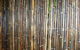 Bamboo Australia Pty Ltd - thumb 1