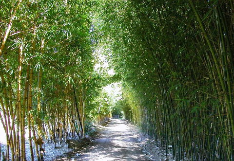 Bamboo Australia Pty Ltd - Click Find 2