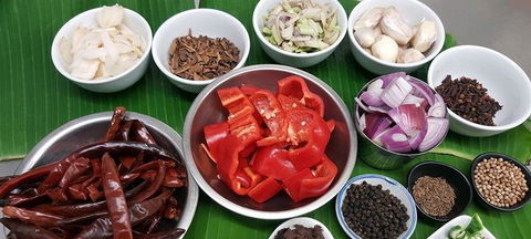 Dr Dax Kitchen - Bridge Guide 0