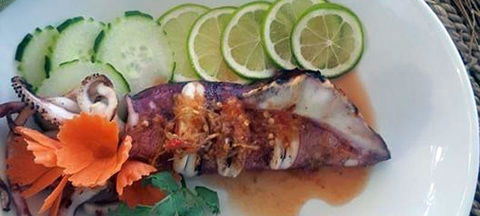 Dr Dax Kitchen - Bridge Guide 3