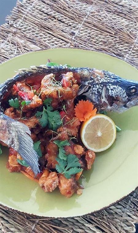 Dr Dax Kitchen - Bridge Guide 4