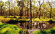 Herveys Range Heritage Tea Rooms - thumb 3