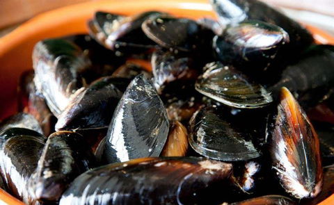 Tapas Tapas Bodega - Click Find 13