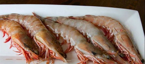 Tapas Tapas Bodega - Click Find 22