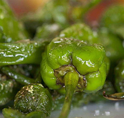 Tapas Tapas Bodega - Click Find 7