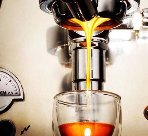 The Coffee Factree - Bridge Guide 9