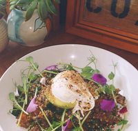 The Shak Organic Cafe  Wine Bar - DBD