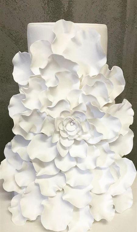 House Of Blanche - Bet 4u 4