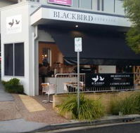 Blackbird Espresso - Bet 4u