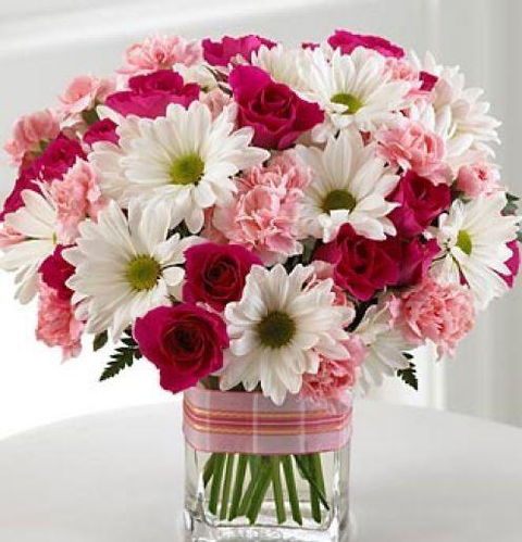 Bellbird Echo Cafe - Bridge Guide 4