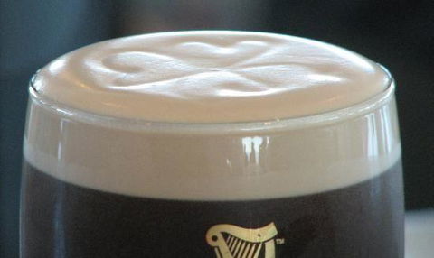 Bellbird Echo Cafe - Bridge Guide 8