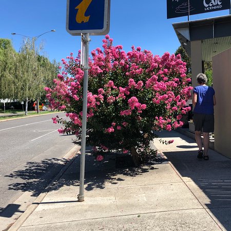 Myrtleford VIC Bet 4u