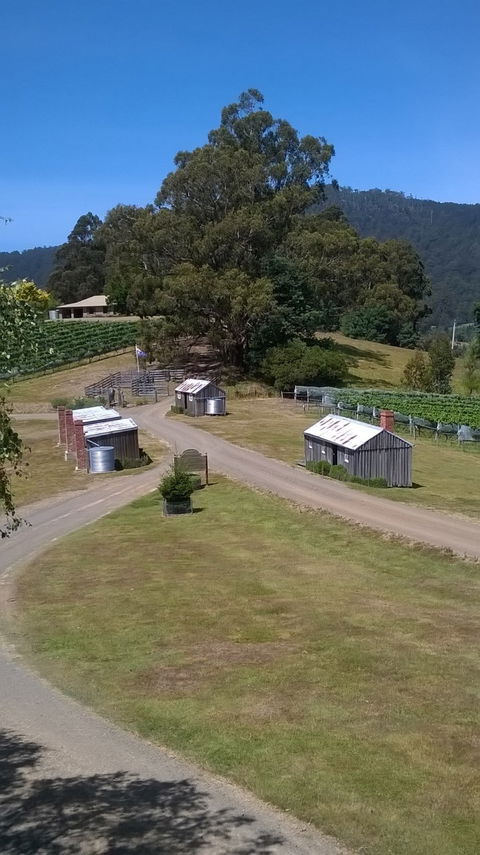 Hartzview Vineyard Cafe - Bridge Guide 6