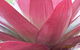 Boundary Nurseries - thumb 3