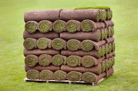 Turfco - Click Find 4