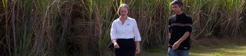 Accountants Maclean NSW Click Find