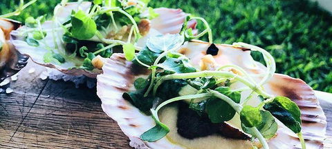 Boardwalk Bistro On Hastings - Bridge Guide 1