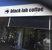 Black Lab Coffee - Bridge Guide