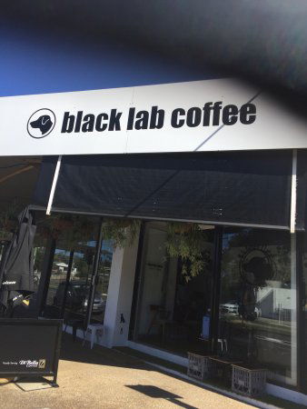 Black Lab Coffee - Click Find 0