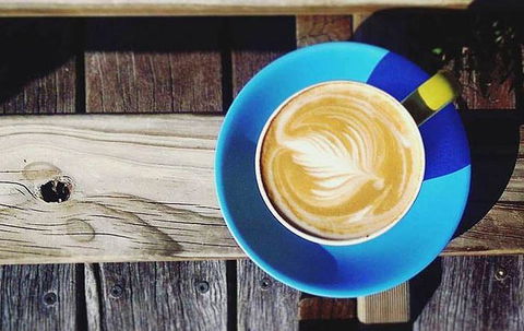 Lush Coffee Lounge - DBD 16