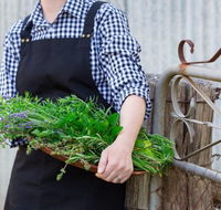 Verdure Bistro - Click Find