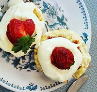 Mervyn Roy's - Bet 4u