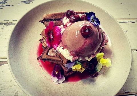 Shambhala Espresso - Click Find 1