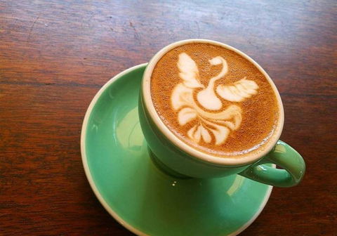 Shambhala Espresso - Click Find 8