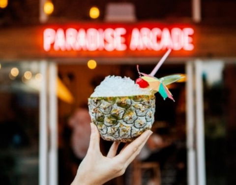 Paradise Arcade - Bridge Guide 0