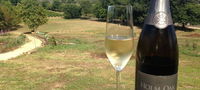 Currency Creek Winery Restaurant