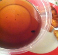 Labrador Chinese Restaurant - Click Find