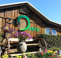 Zen Oasis Vegetarian Restaurant - Bet 4u