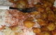 Gold City Chinese Restaurant - thumb 0