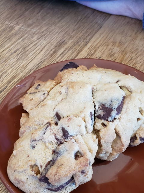 Bruny Island Cafe - Bridge Guide 7